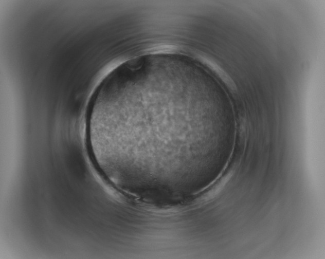 X0000111391418200907101137
