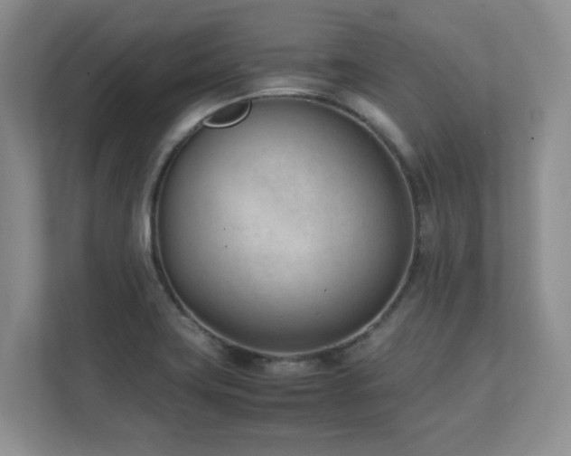 X0000111391419200907101137