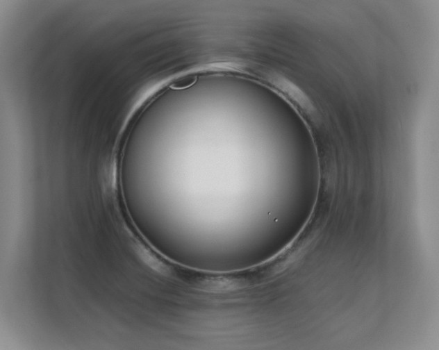 X0000111391420200907101137