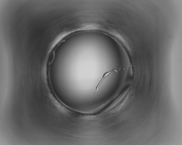 X0000111391422200907101137