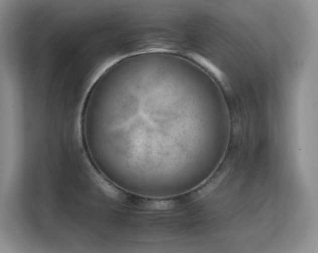 X0000111391423200907101137