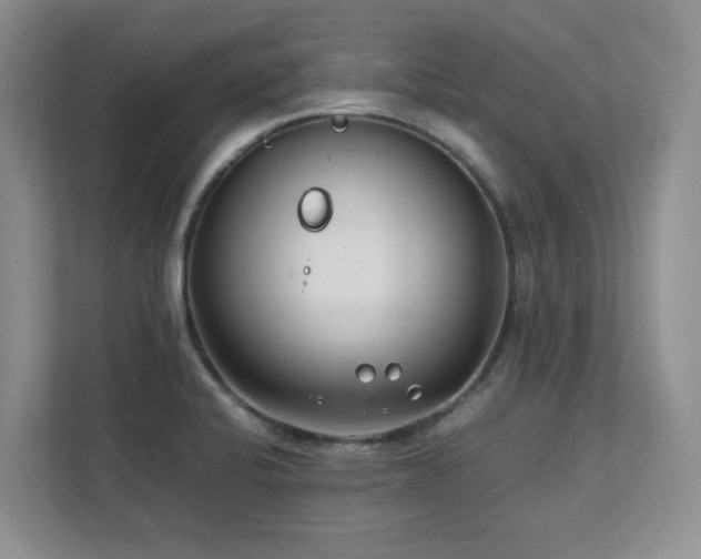 X0000111391424200907101137