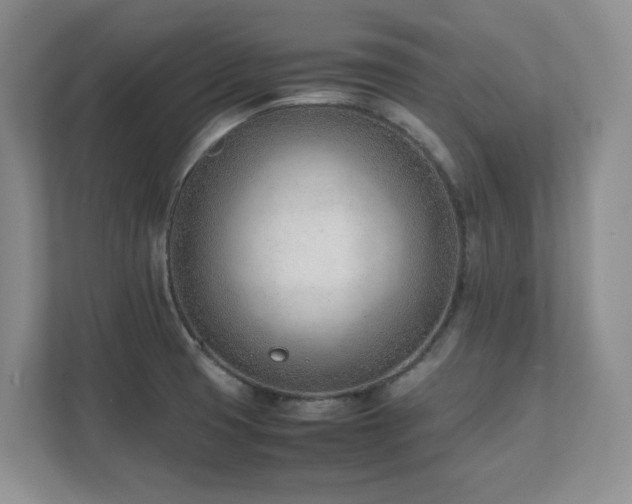 X0000111391425200907101137