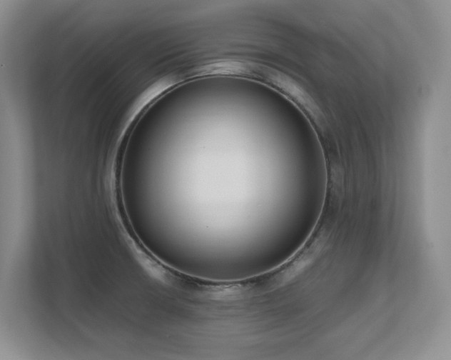 X0000111391426200907101137