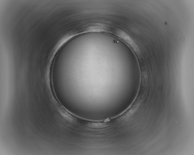 X0000111391427200907101137
