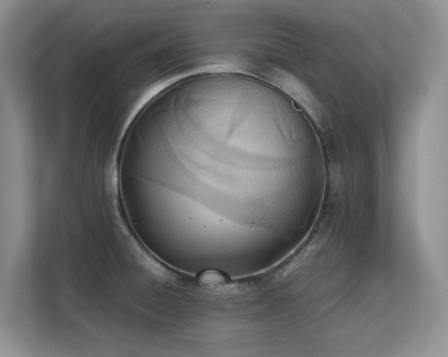 X0000111391428200907101137