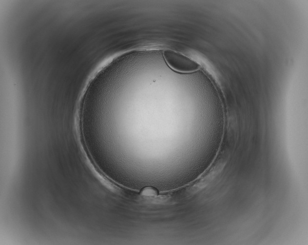 X0000111391429200907101137