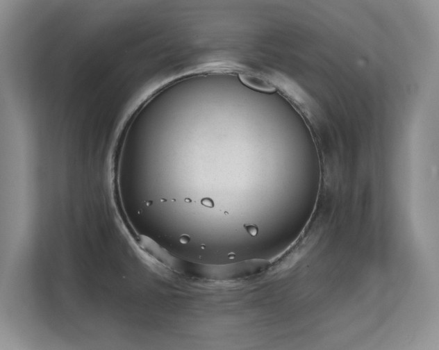 X0000111391430200907101137
