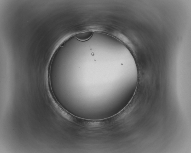 X0000111391431200907101137