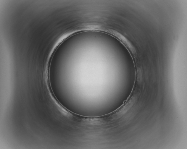 X0000111391432200907101137