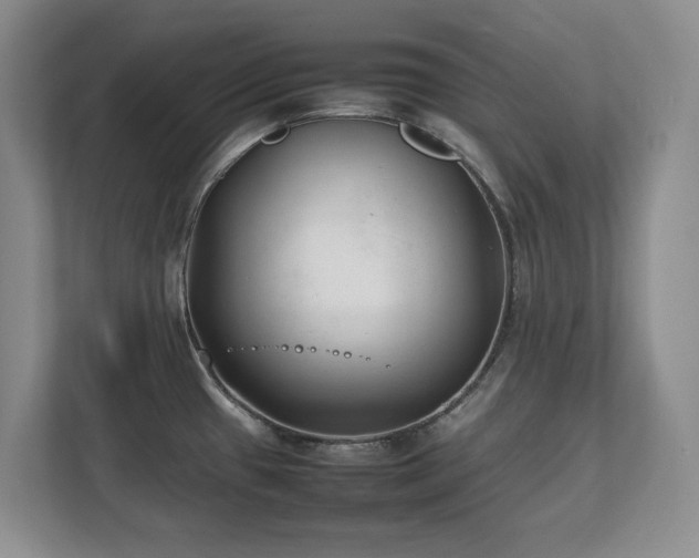 X0000111391433200907101137