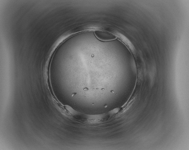 X0000111391435200907101137