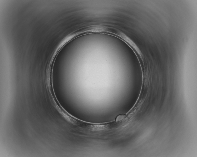 X0000111391437200907101137