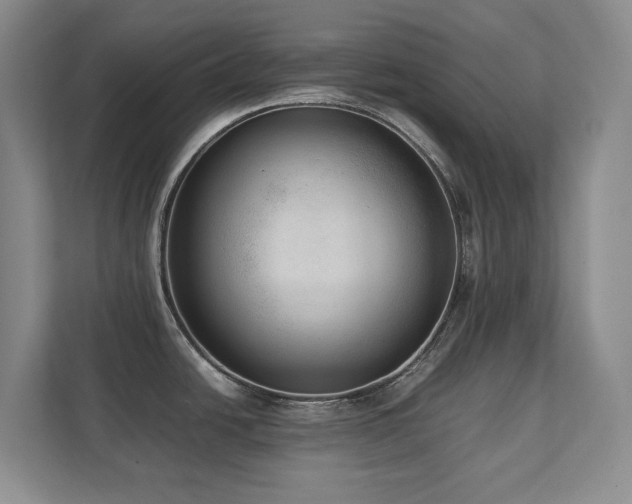 X0000111391438200907101137