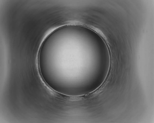 X0000111391440200907101137