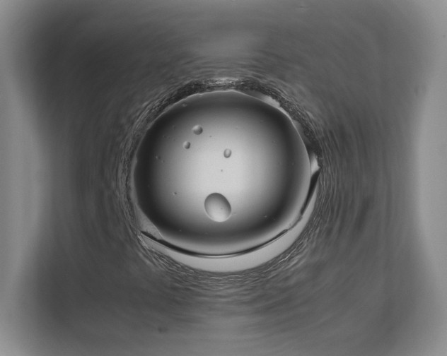 X0000111391441200907101137