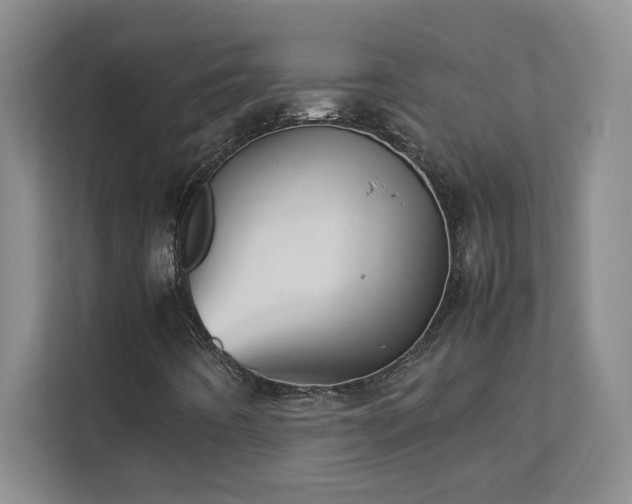 X0000111391442200907101137