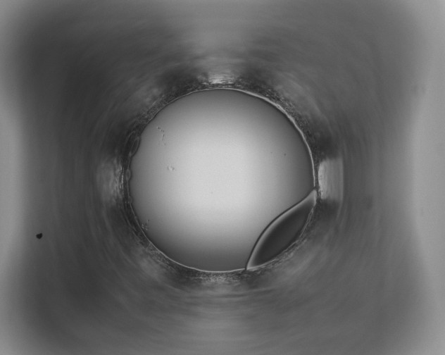 X0000111391443200907101137