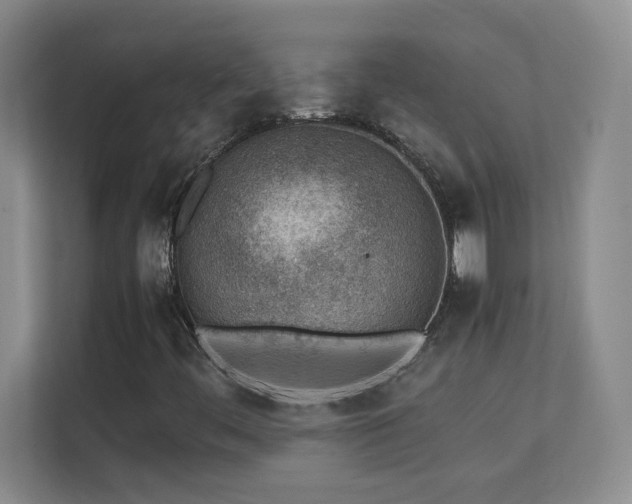 X0000111391444200907101137