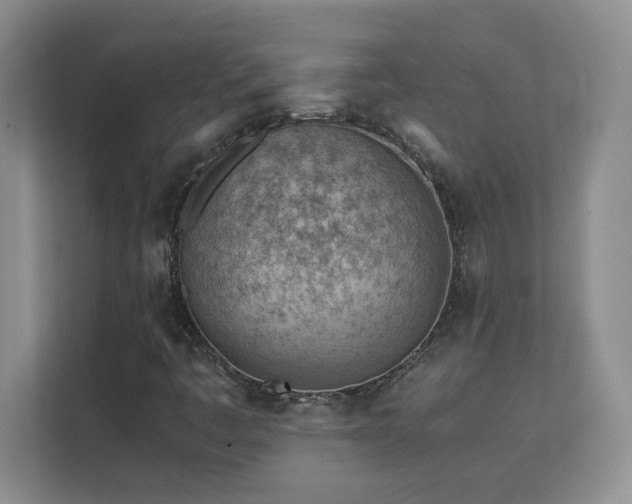 X0000111391445200907101137