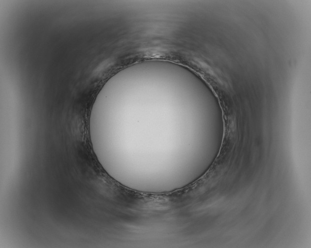 X0000111391446200907101136