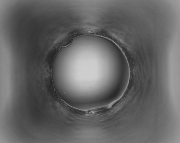 X0000111391447200907101136