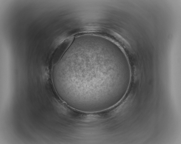 X0000111391449200907101136