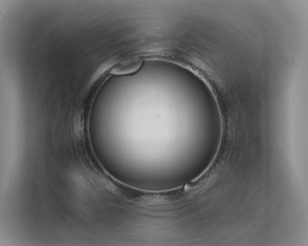X0000111391450200907101136