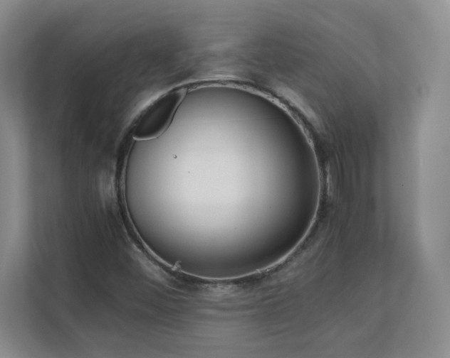 X0000111391452200907101136