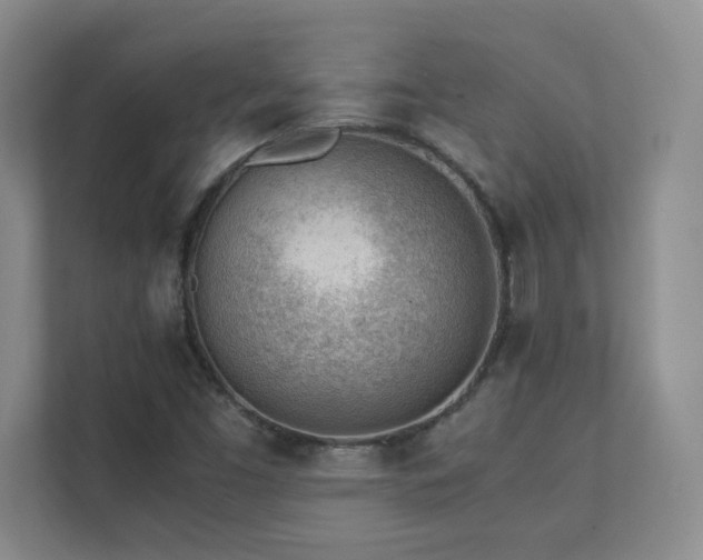 X0000111391453200907101136