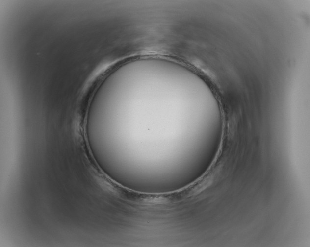 X0000111391454200907101136