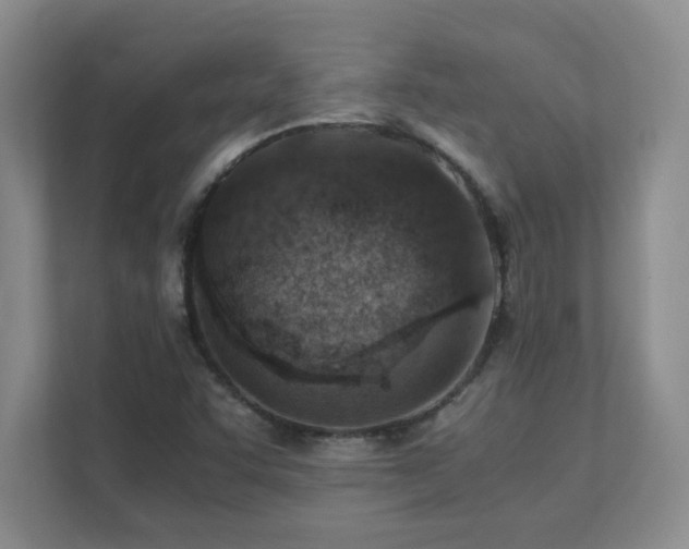 X0000111391455200907101136