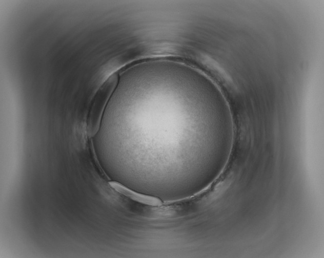 X0000111391457200907101136