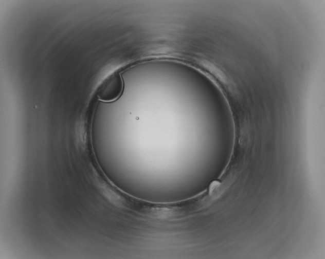 X0000111391458200907101136