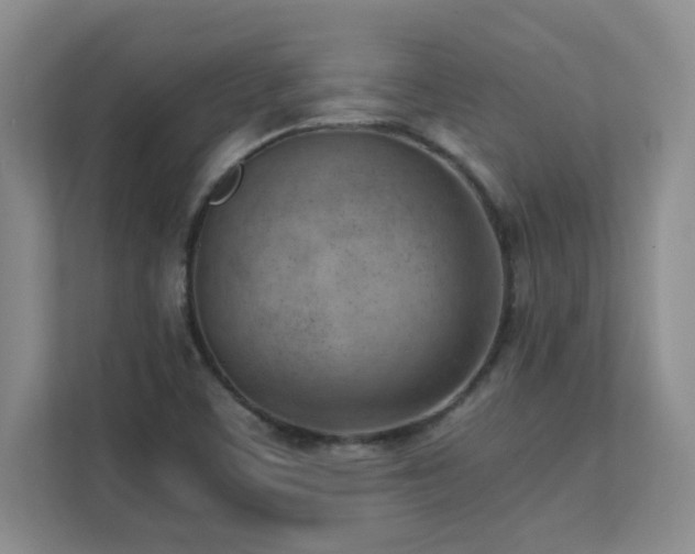 X0000111391459200907101136