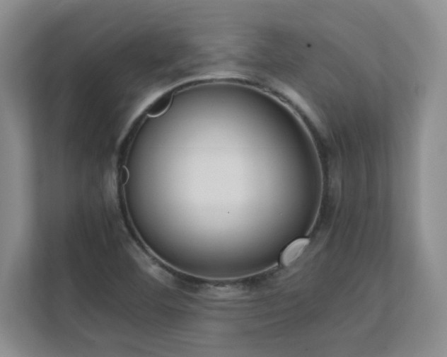 X0000111391460200907101136