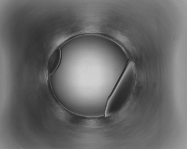 X0000111391461200907101136