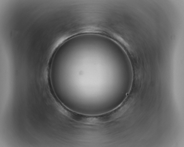 X0000111391463200907101136