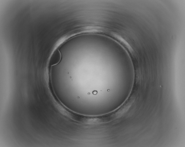 X0000111391467200907101136