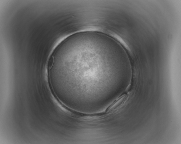 X0000111391468200907101136