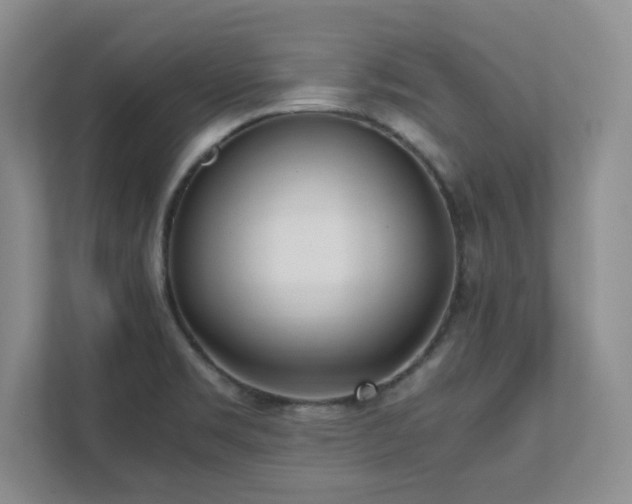 X0000111391469200907101136