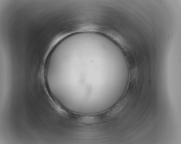 X0000111391470200907101136