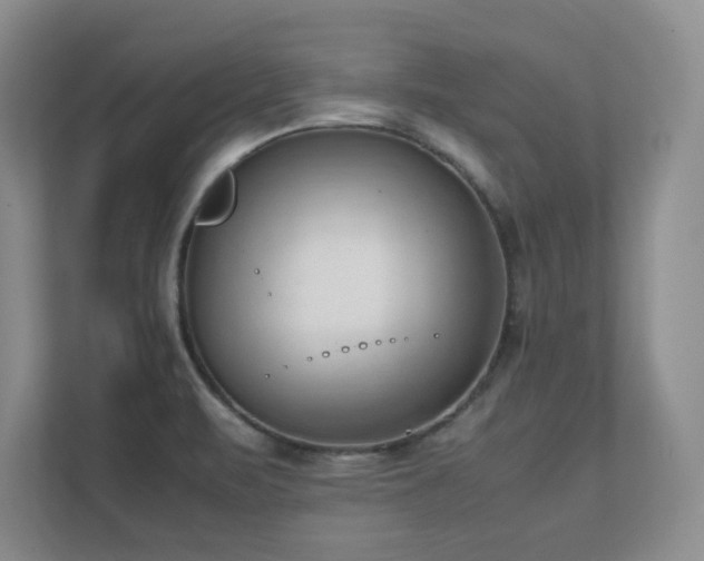 X0000111391471200907101136