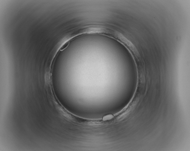 X0000111391473200907101136