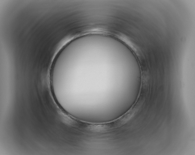 X0000111391474200907101136
