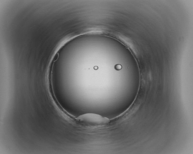 X0000111391475200907101136