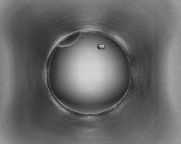 X0000111391476200907101136