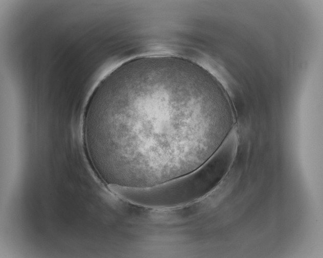 X0000111391477200907101136