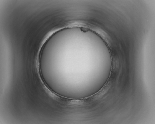 X0000111391478200907101136