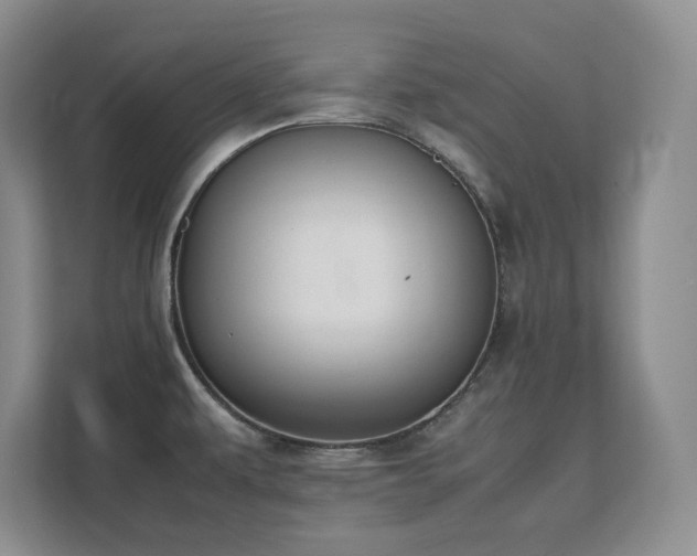 X0000111391479200907101136
